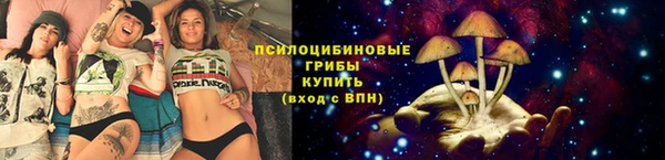 дживик Алзамай