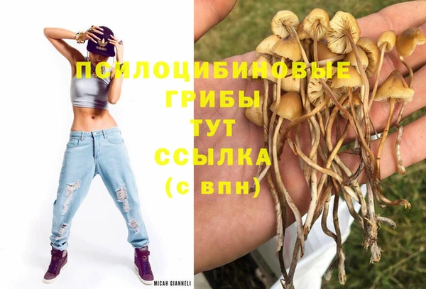 круглые Алексин