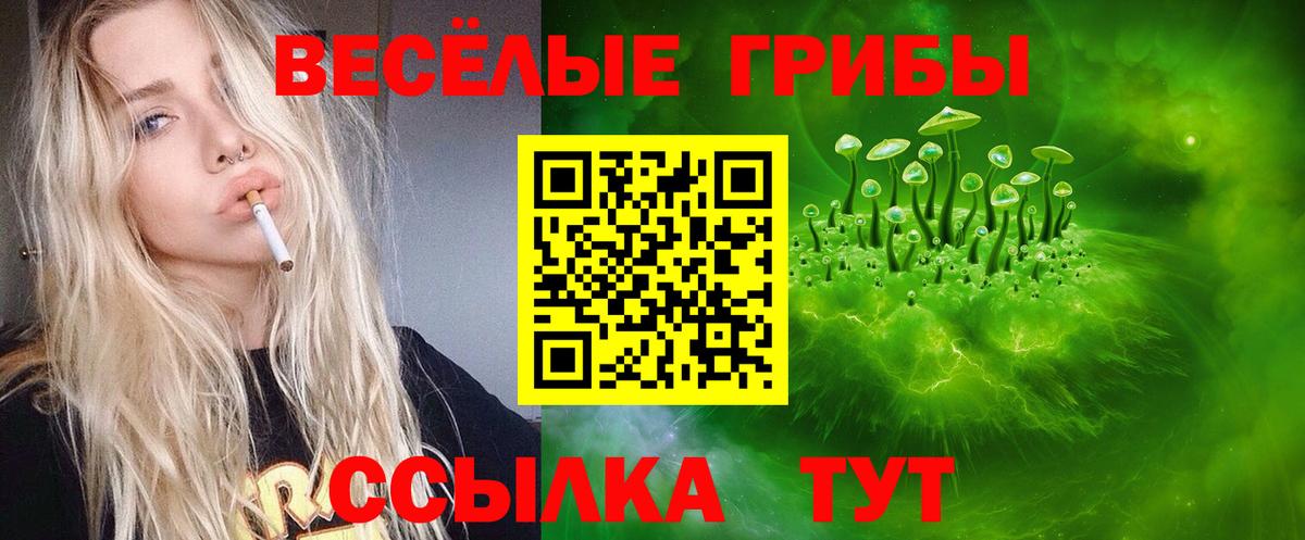 Муравленко  Псилоцибиновые грибы Cubensis  Вход с VPN 